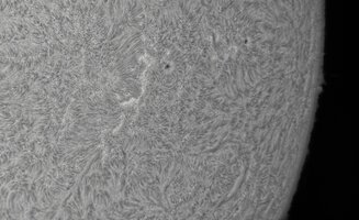 2026-07-30-0654_7-CapObj_lapl4_ap8267.jpg
