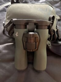 IMG_4652.jpeg