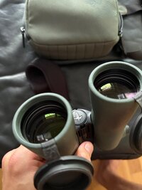 IMG_4653.jpeg