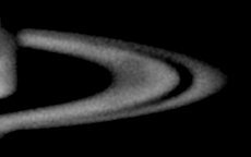 2026-07-31-0207_4-L_lapl5_ap40.jpg