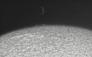 2026-08-01-1213_1-CapObj_lapl4_ap5140.jpg