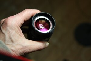 IMG_1536.JPG