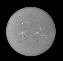 OB 1010826 AB.jpg
