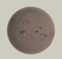 OB 1010826 BC.jpg