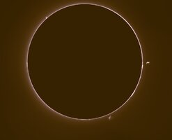 PROTU 1 010826 g.jpg