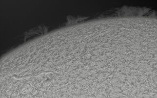 2026-08-02-0734_8-CapObj_lapl4_ap7026.jpg