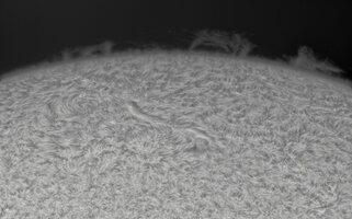 2026-08-02-0740_0-CapObj_lapl4_ap6772.jpg