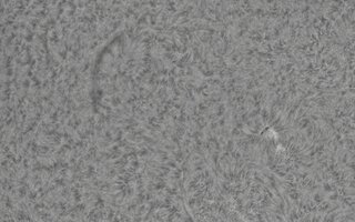2026-08-02-0742_2-CapObj_lapl4_ap9655.jpg