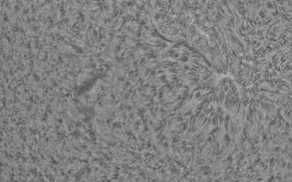 2026-08-02-0743_7-CapObj_lapl4_ap9536.jpg