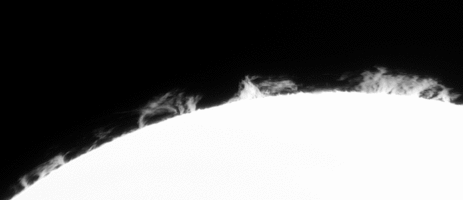 animated_w750_h324_roi.gif