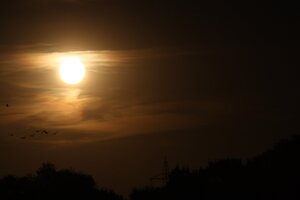 IMG_8846-1920px-f29-200mm.JPG