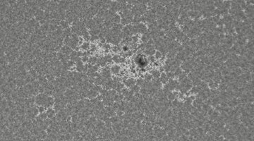 2026-08-03-0705_6-CapObj_lapl4_ap33348.jpg