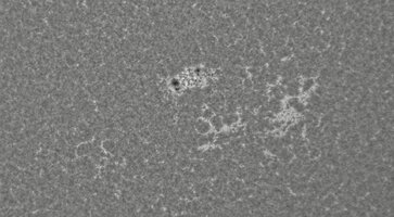 2026-08-03-0706_4-CapObj_lapl4_ap33017.jpg
