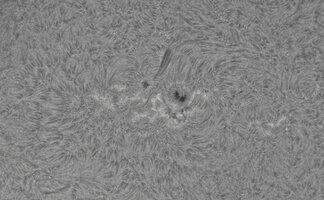 2026-08-03-0726_9-CapObj_lapl4_ap9535.jpg