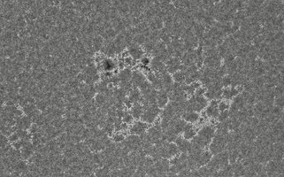 2026-08-04-1010_2-CapObj_lapl4_ap9536.jpg