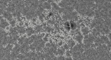 2026-08-05-0806_0-CapObj_lapl4_ap9577.jpg