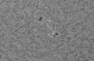 2026-08-05-0842_1-CapObj_lapl4_ap3443.jpg