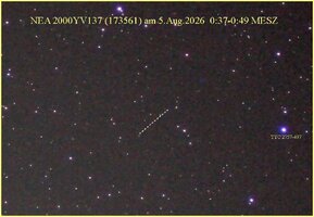 NEA_2000YV137_260805web.jpg