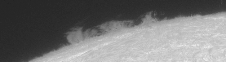 425124001785950640.gif