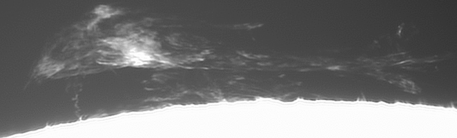 Video 1 (38).gif