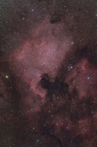 NGC_7000_Test_Hochkant_Forum.jpg NGC_7000_Test_Hochkant_Forum.jpg
