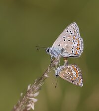 0Q0A9256_1.jpg