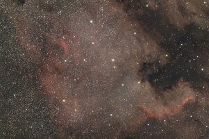 NGC_7000_050x120sec_6000s_2026-08-08_0901_ogfertig.jpg
