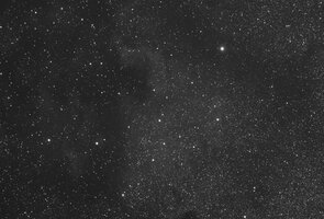 IMG_2030.jpeg