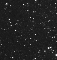 IMG_3375.jpeg