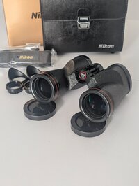PXL_20260801_090533484.MP.jpg