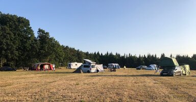 IMG_1488.jpg