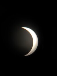 IMG_2264.jpeg