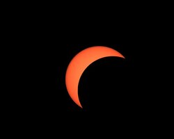 IMG_20260812_213239.jpg