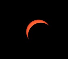 IMG_20260812_213111.jpg