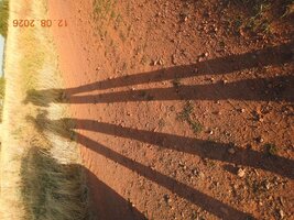 DSCN5402.JPG