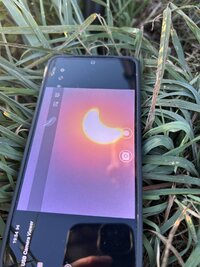 August-12-SoFi-1.jpg