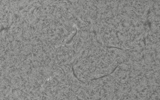2026-08-13-0758_5-CapObj_lapl4_ap9655.jpg