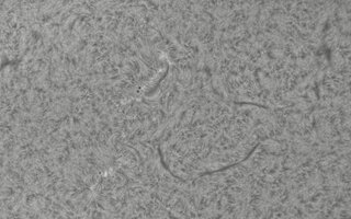 2026-08-13-0758_5-CapObj_lapl4_ap96599.jpg