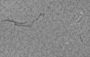 2026-08-13-0759_4-CapObj_lapl4_ap9568.jpg