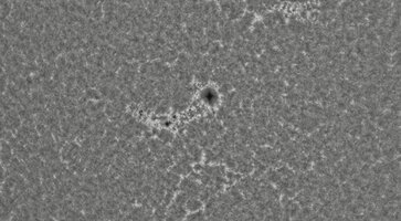2026-08-14-0706_4-CapObj_lapl4_ap33017.jpg