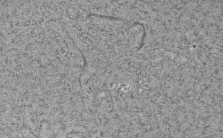 2026-08-14-0716_0-CapObj_lapl4_ap9491.jpg