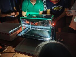 Aquarium.jpg