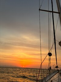 IMG_6249[1].JPG
