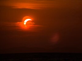 IMG_6245[1].JPG
