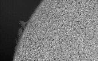2026-08-24-0654_1-CapObj_lapl2_ap7437.jpg