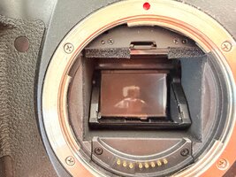 IMG_0044.jpeg