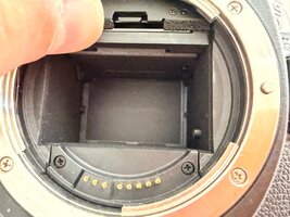 IMG_0045.jpeg