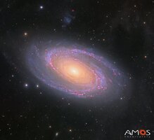 M81_logo_s.jpg