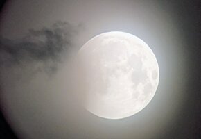 IMG_20260828_044409321_HDR~2.jpg