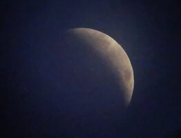 IMG_20260828_053625838.jpg